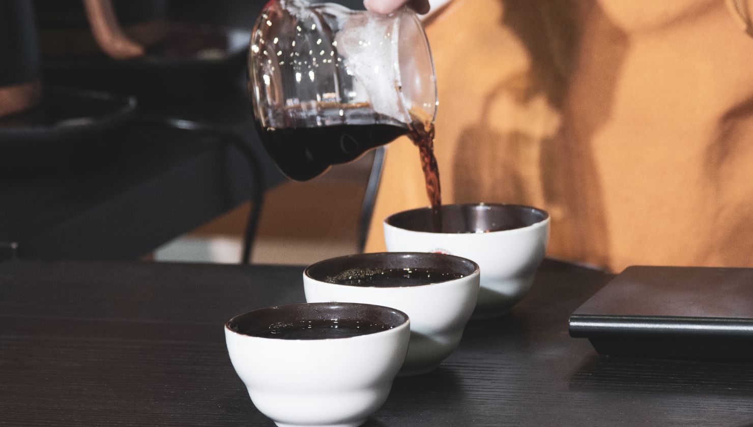 Brewer's Cup Insights: Coffee Judging | Creature Coffee