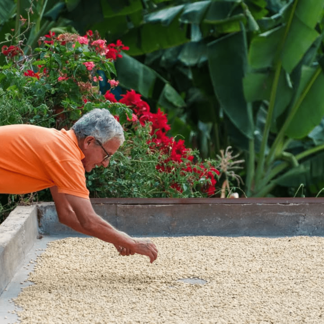 CHILL BILL (DECAF) - DECAF - Creature Coffee Co