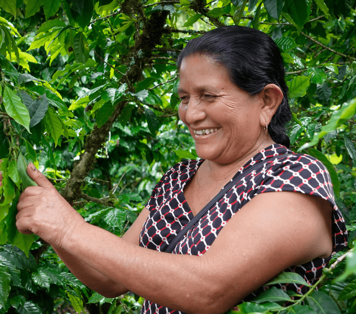 COCOA TANGO - Guatemala - Washed - Creature Coffee Co