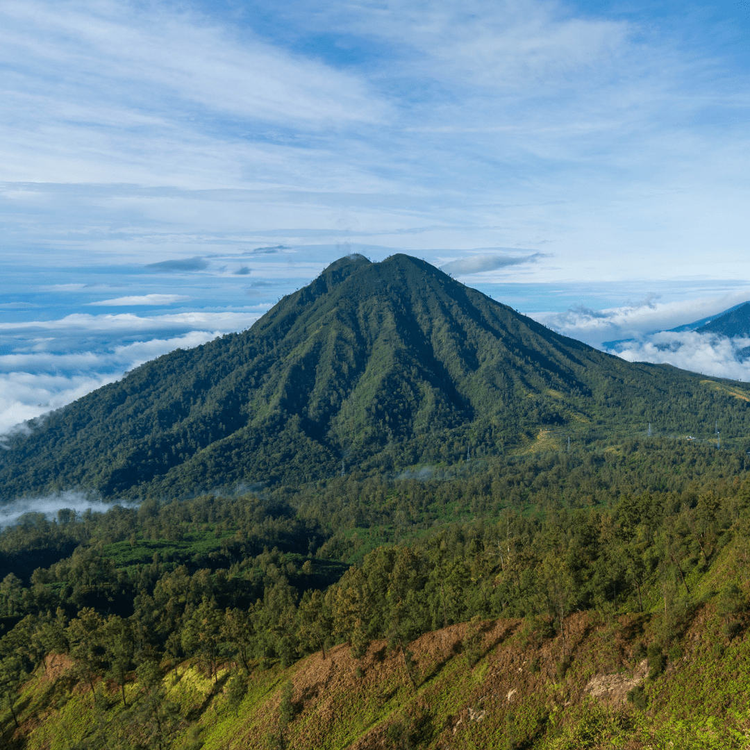IJEN JAM - Indonesia - Natural - Creature Coffee Co
