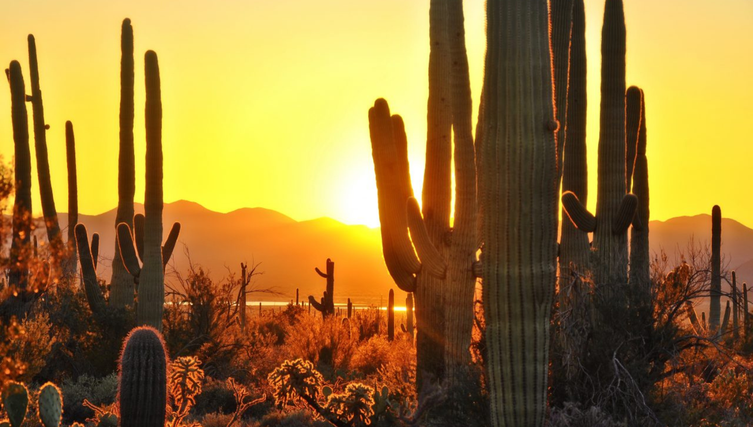 The Best Outdoor Event Venues in Phoenix (That Are Manageable in the Heat)