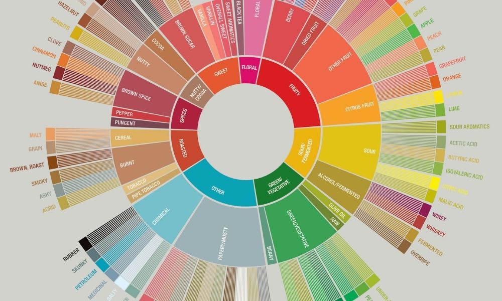 Develop Your Palate: The Coffee Tasters Flavor Wheel - Creature Coffee Co