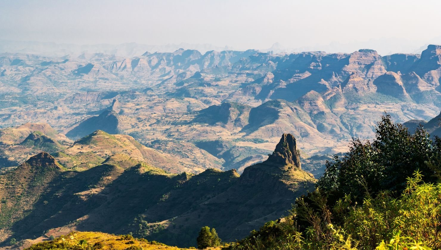 The Fascinating History and Culture of Ethiopian Coffee - Creature Coffee Co