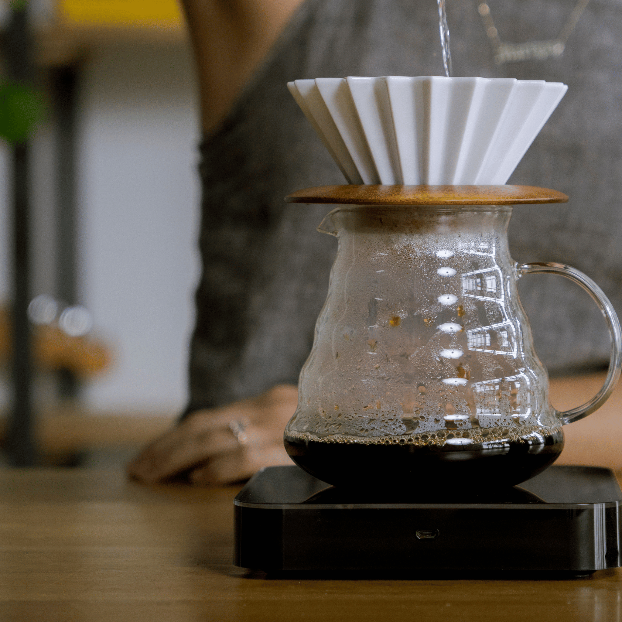 Creature Coffee Gift Subscription Collection, Specialty Coffee Roaster Austin
