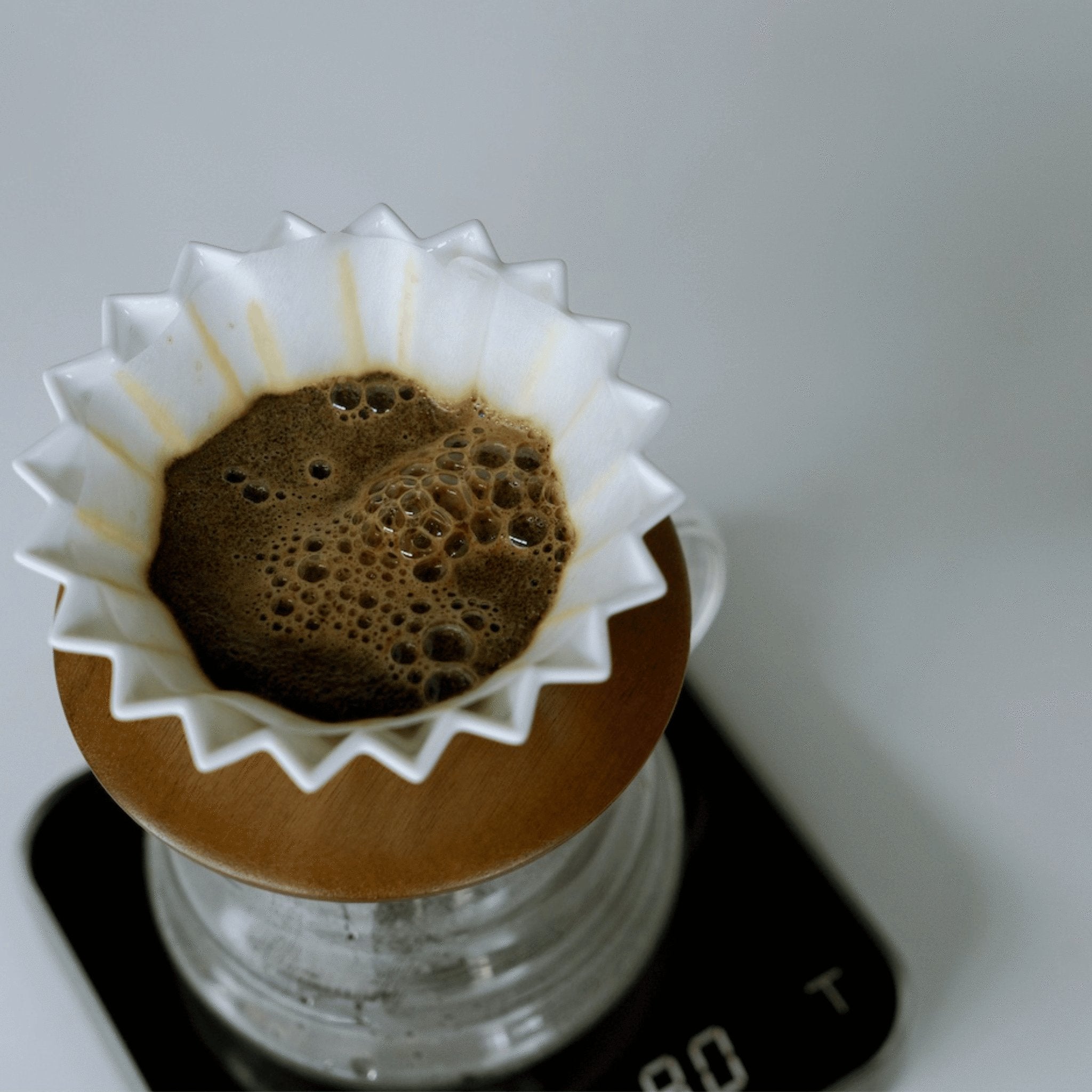Creature Coffee Brewing Gear Collection, Specialty Coffee Roaster Austin