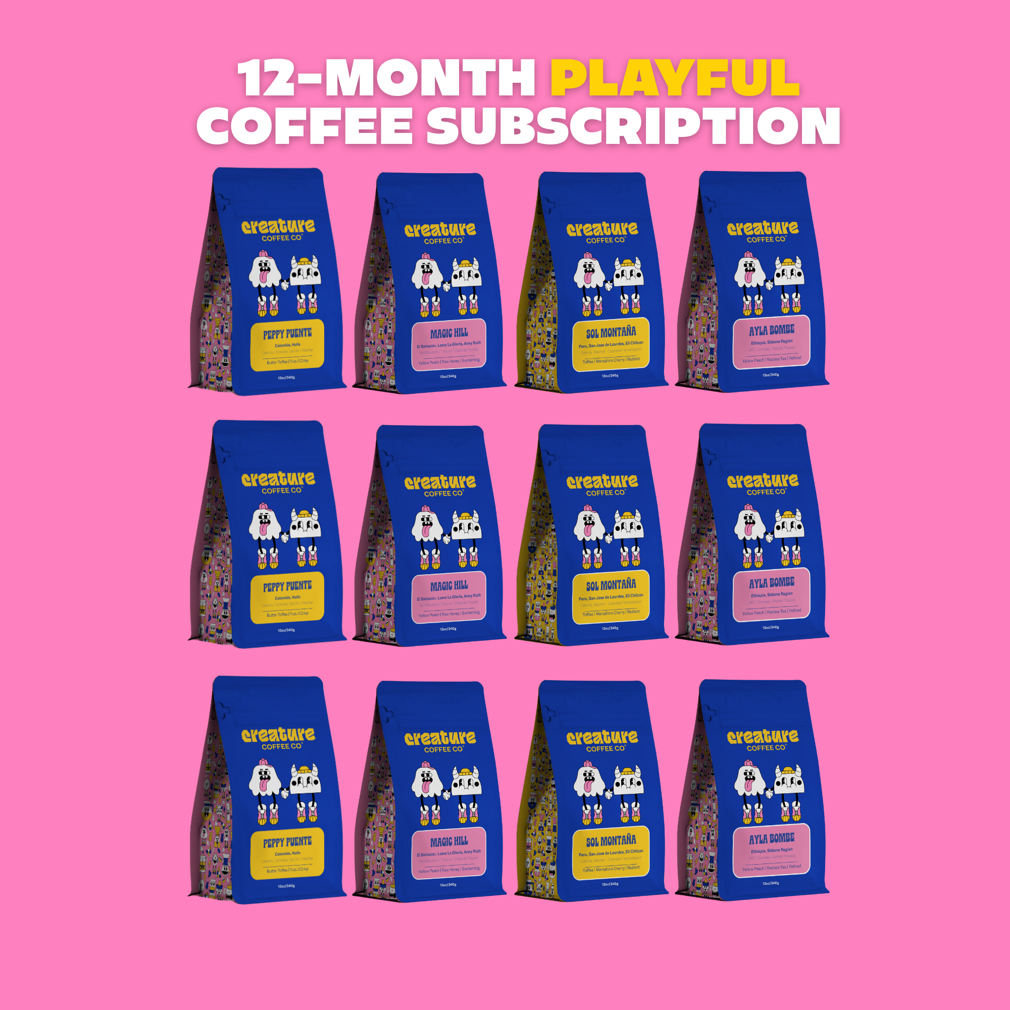 12 MONTH PLAYFUL SUBSCRIPTION