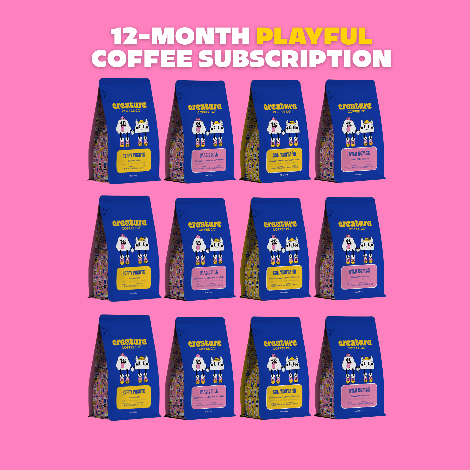 12 MONTH PLAYFUL SUBSCRIPTION