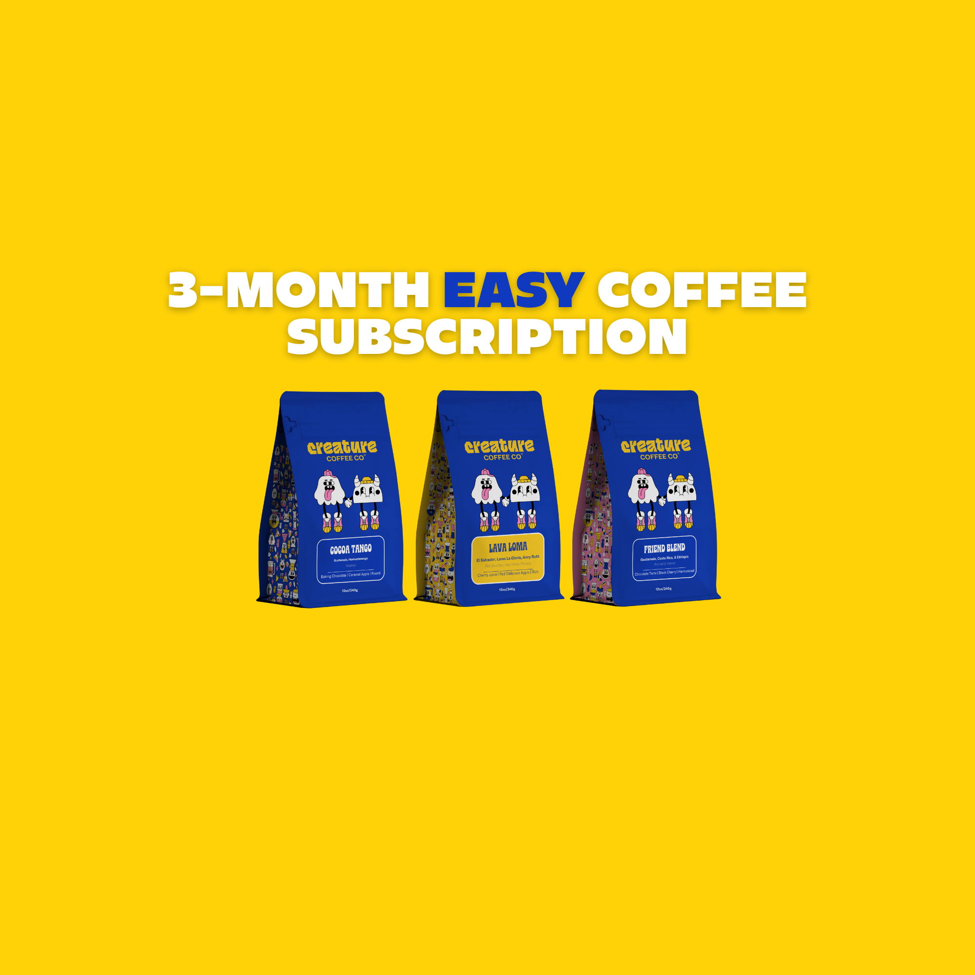 3 MONTH EASY SUBSCRIPTION
