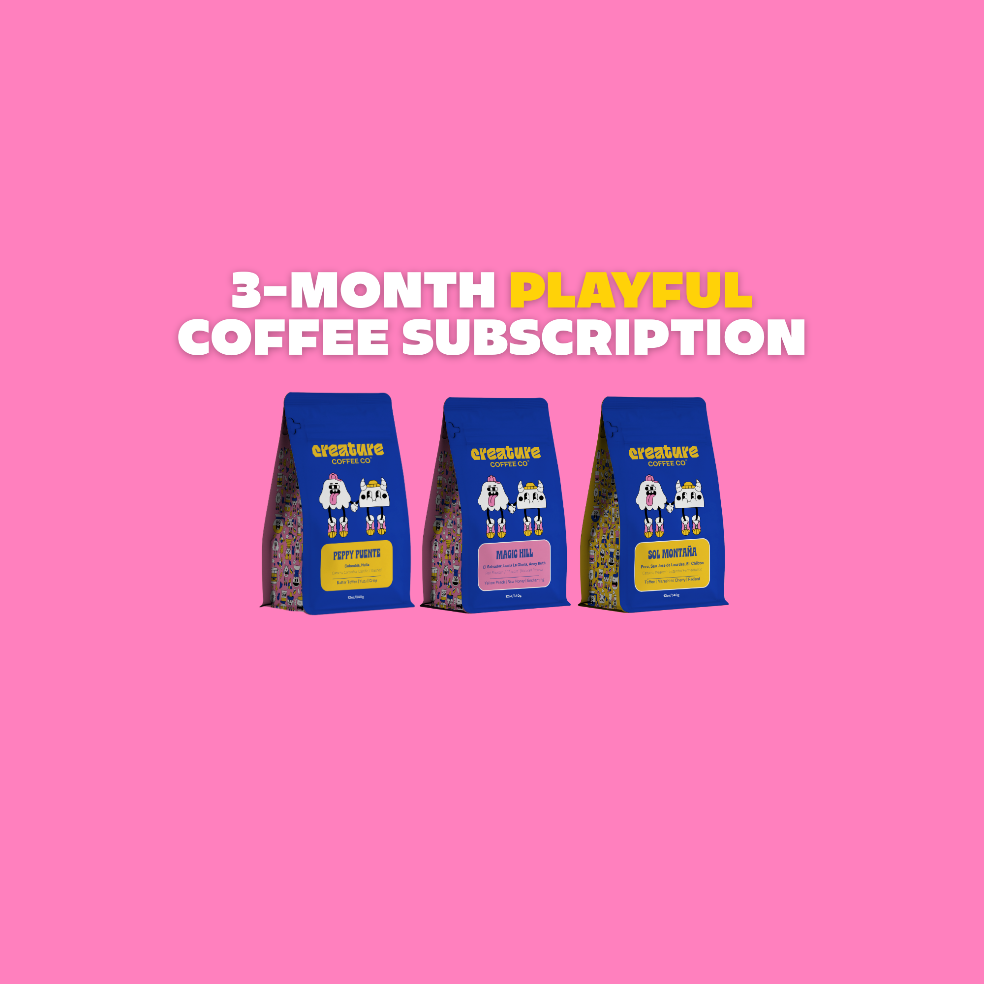 3 MONTH PLAYFUL SUBSCRIPTION