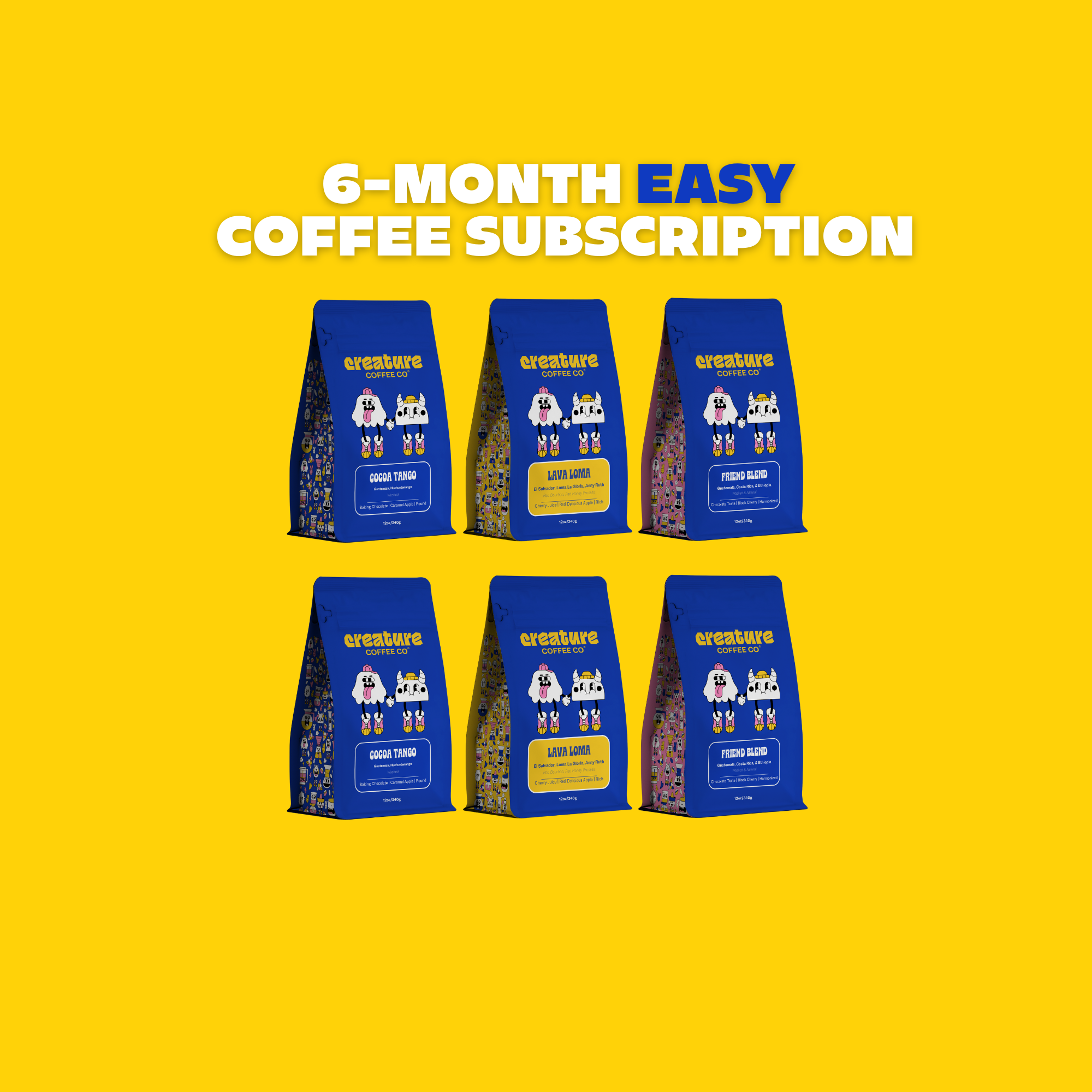6 MONTH EASY SUBSCRIPTION