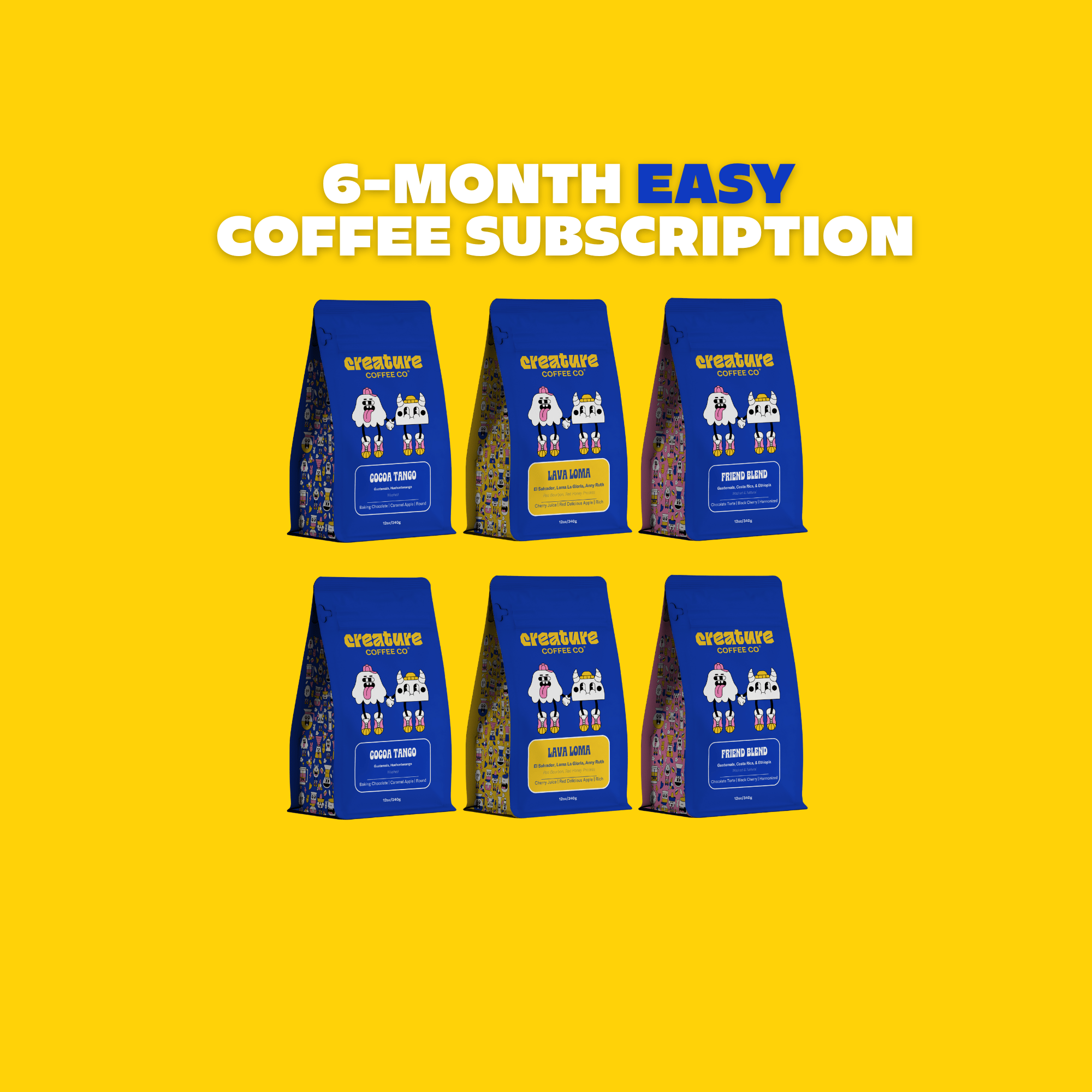 6 MONTH EASY SUBSCRIPTION