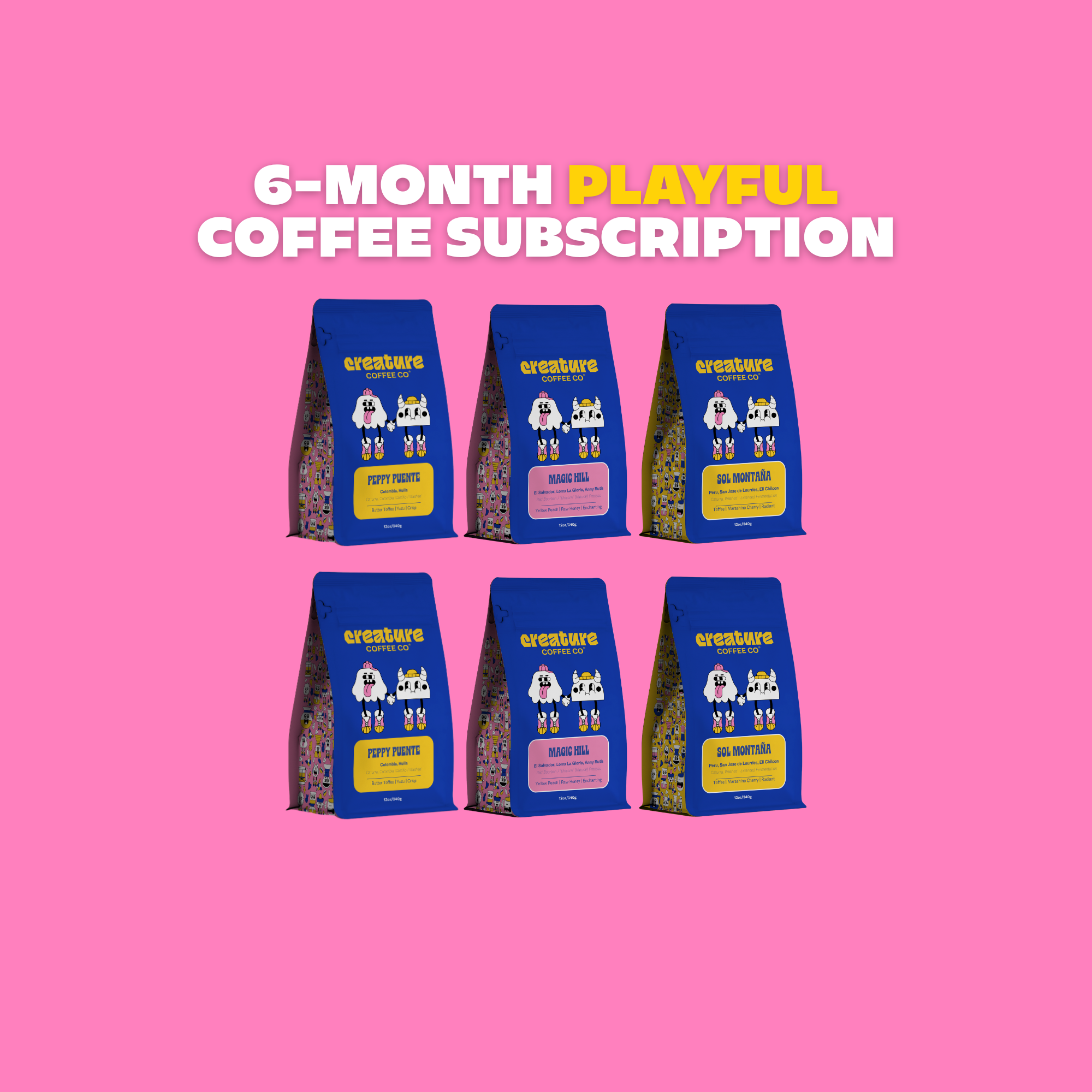 6 MONTH PLAYFUL SUBSCRIPTION