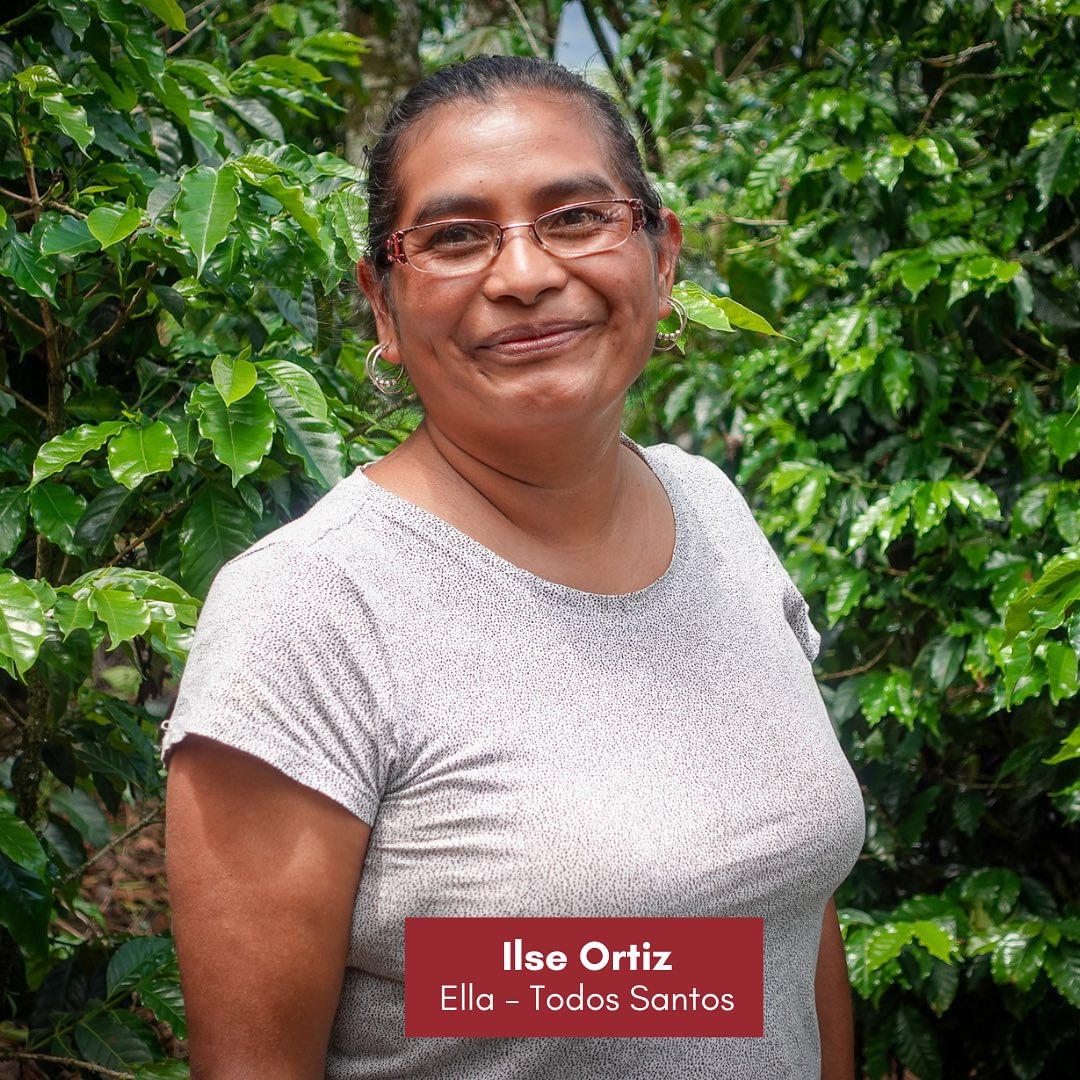 Coffee Producer, Direct Trade 
