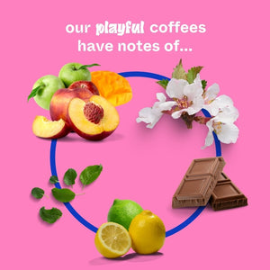 coffee subscription with notes of peaches, tea, milk chocolate, citrus, and floral notes