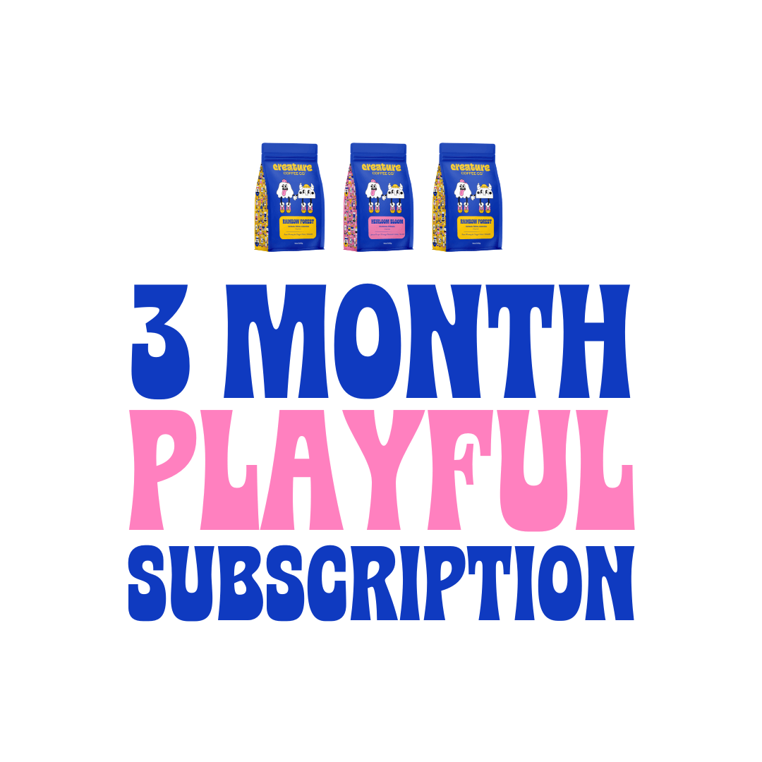 3 MONTH PLAYFUL SUBSCRIPTION - Creature Coffee Co - Creature Coffee Co