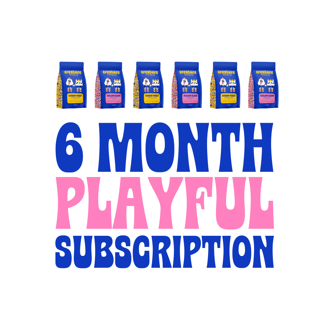 6 MONTH PLAYFUL SUBSCRIPTION - Creature Coffee Co - Creature Coffee Co
